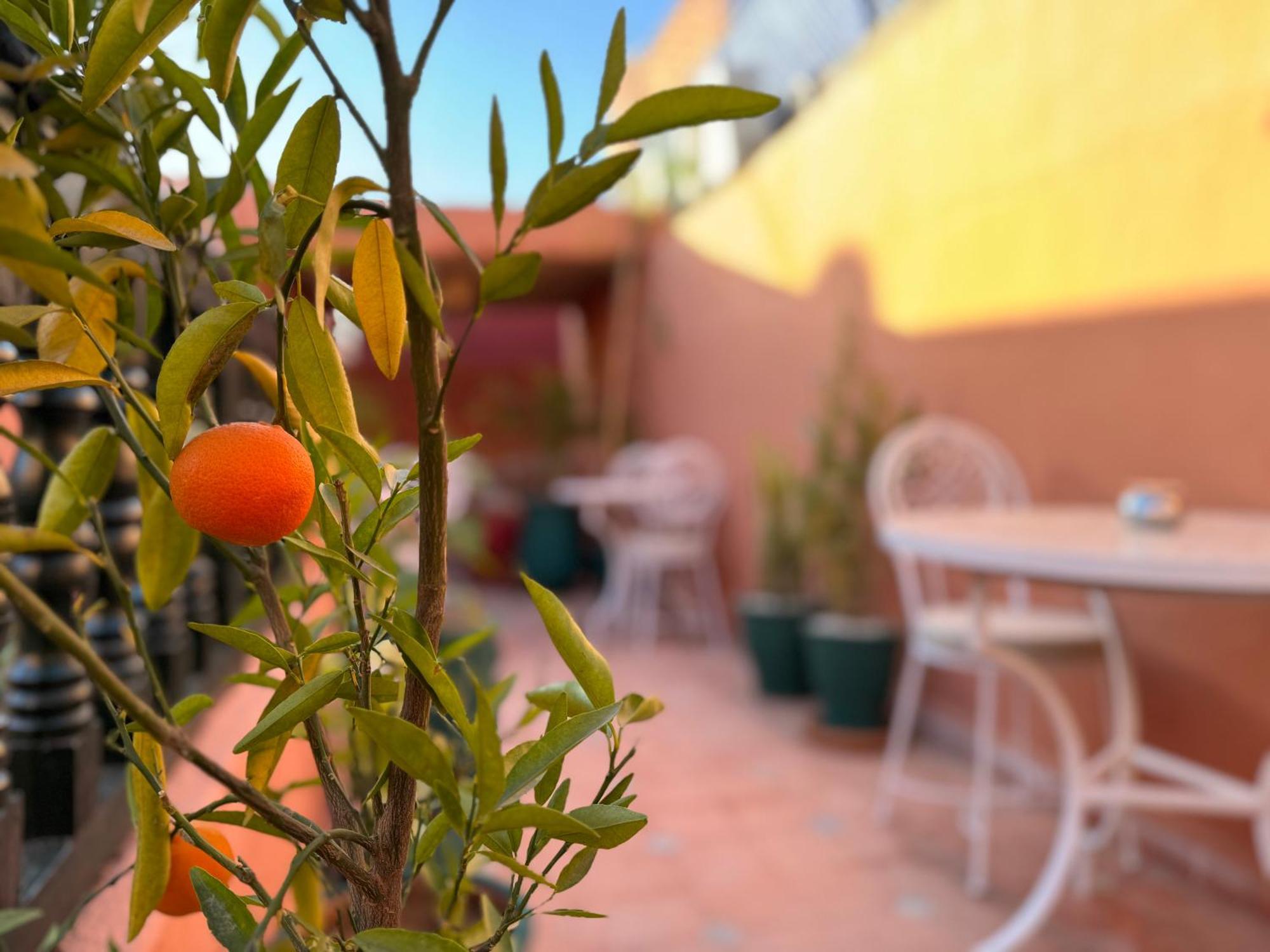 Riad Sanwa Marrakesh Eksteriør bilde